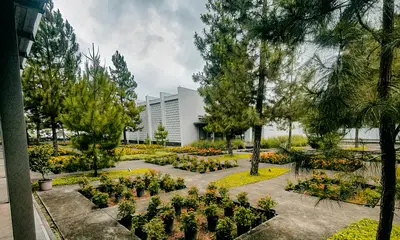 Contoh villa