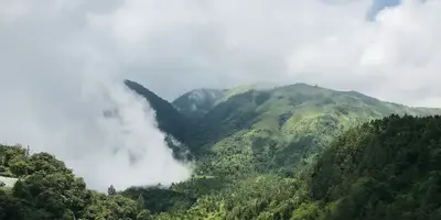 Perbukitan hijau berkabut